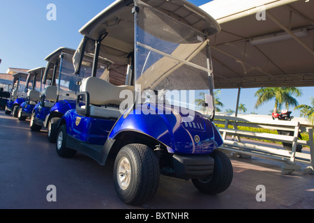 Marriott Doral Golf Resort & Spa , Miami , Florida , USA , golf buggies by Blue Monster 1st tee Stock Photo