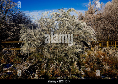 Sunny, winter scene taken at Loushers Lane Recreation Park in Warrington Stock Photo