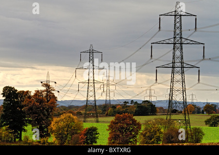 UK Berkshire Power Lines In Autumn Stock Photo