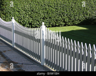 White picket fence and green hedge, Seaside Oregon Stock Photo