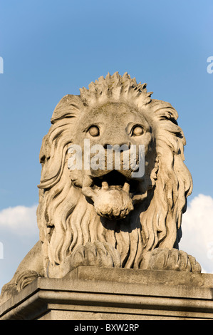 Lion statue on the Szechenyi Chain Bridge, Budapest, Hungary Stock Photo