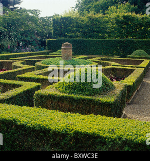 Clipped box hedges in formal knot garden in large country garden Stock Photo