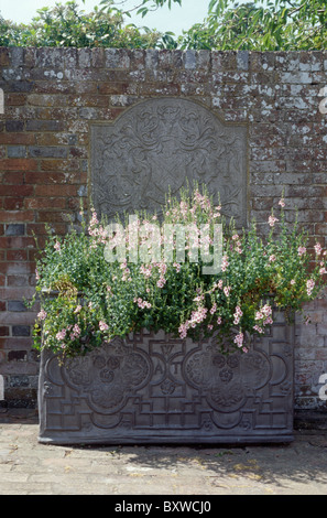 Close-up of pink diascia in large stone container in walled country garden in summer Stock Photo