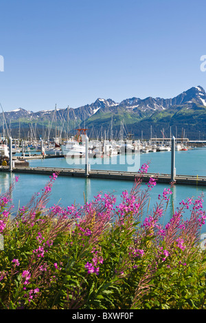 Boat Harbor on Resurrection Bay