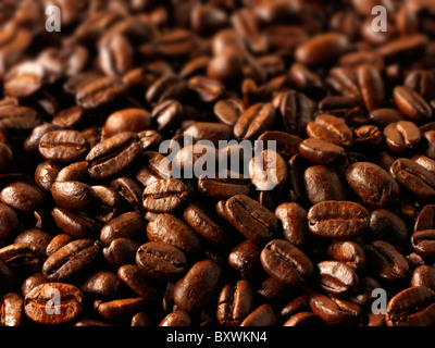 Papua New Guinea fair trade coffee beans stock Photos Stock Photo