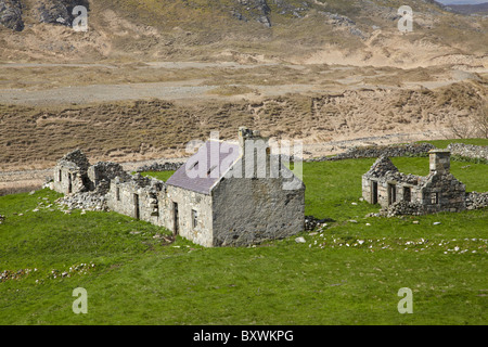 Derelict Farm Buildings, near Bettyhill, Torrisdale Bay, Highlands, Scotland, United Kingdom Stock Photo