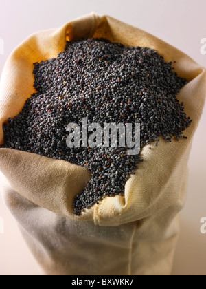 Poppy Seeds Stock Photo