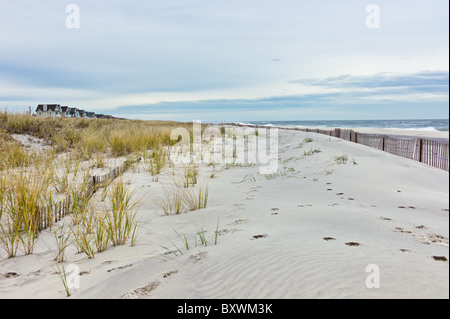 Sand dunes and beach houses on a Long Island, New York beach Stock Photo