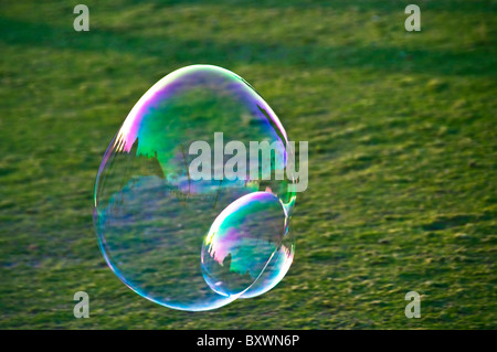 Huge soap bubble suspended in grassy park Stock Photo