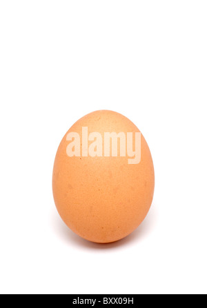 Single egg on white background Stock Photo