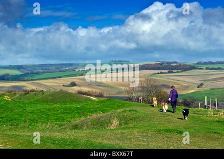 Woman walking her dogs on Cissbury Ring, Findon, Worthing, West Sussex, England UK Stock Photo