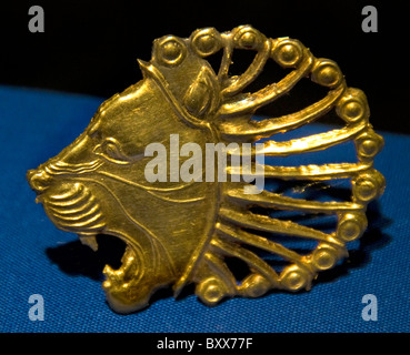 Achaemenid Empire gold lion head dress ornament or clothing pin from ancient Persia dated 600 to 500 BC, Iranian applique jewellery Stock Photo