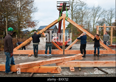 Building a traditional timber framed barn in Radnorshire, UK. Lifting one of the timber roof trusses Stock Photo