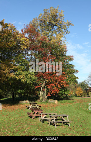 Ness Botanic Gardens, England. Autumnal view of Ness Botanic Gardens. Stock Photo