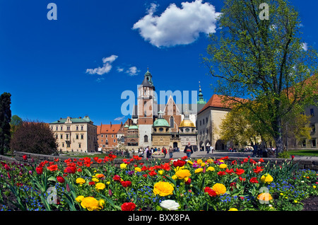 Wawel Cathedral in Cracow, Poland Stock Photo