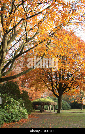 Estate of Tatton Park, England. Autumnal view Tatton Park gardens with the thatched African Hut in the background. Stock Photo