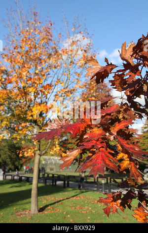 Walton Hall and Gardens. Autumnal view the of Walton Hall gardens. Stock Photo