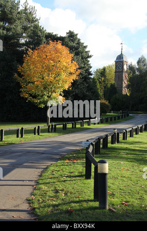 Walton Hall and Gardens. Autumnal view the driveway leading to Walton Hall. Stock Photo