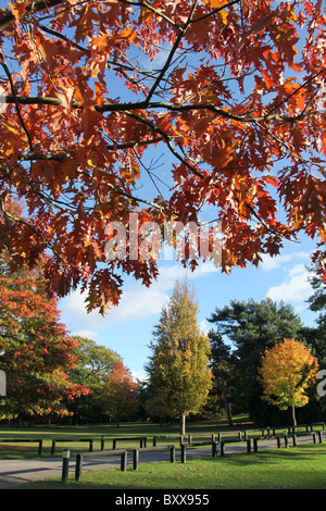 Walton Hall and Gardens. Autumnal view the of Walton Hall gardens. Stock Photo