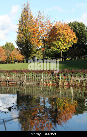 Walton Hall and Gardens. Autumnal view of Walton Hall pond and garden. Stock Photo