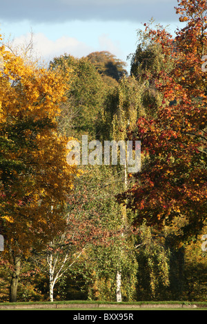 Walton Hall and Gardens. Autumnal view the of Walton Hall gardens. Stock Photo