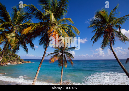 Bay near Playa Grande Rio San Juan, North-Coast, Dominican Republic Stock Photo