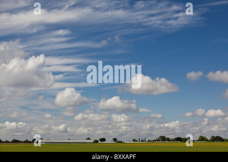 Skyscape with cirrus and cumulus clouds, over Northamptonshire Stock Photo