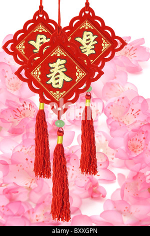 Traditional Chinese New Year ornaments on plum blossom background Stock Photo