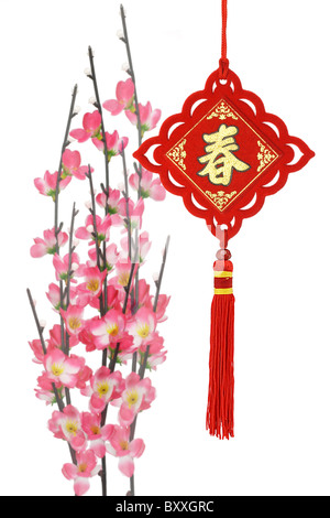 Chinese new year traditional ornaments and plum blossom on white background Stock Photo