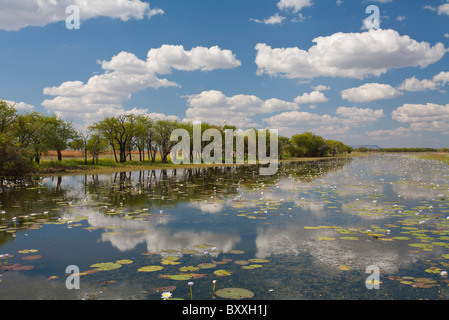 Parry Lagoons between Wyndham and Kununurra, Kimberley, Western Australia Stock Photo