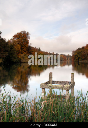 Bulrushes beside the still waters of Fonthill Lake, near Fonthill Bishop, Wiltshire, England, UK. Stock Photo