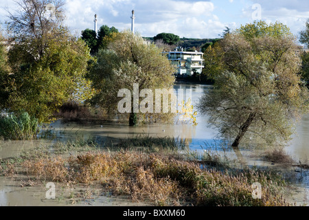 Tiber river full high water in Ponte Milvio bridge raining Rome Italy Italian Europe European autumn winter Stock Photo