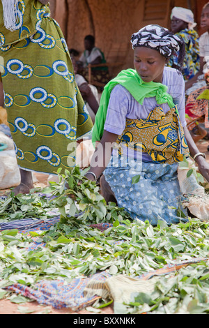 In the town of Djibo in northern Burkina Faso, women sell greens in the market. Stock Photo