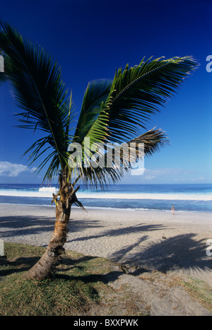 Grande Anse beach, La Reunion island (France), Indian Ocean Stock Photo