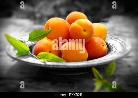 Fresh whole apricots Stock Photo