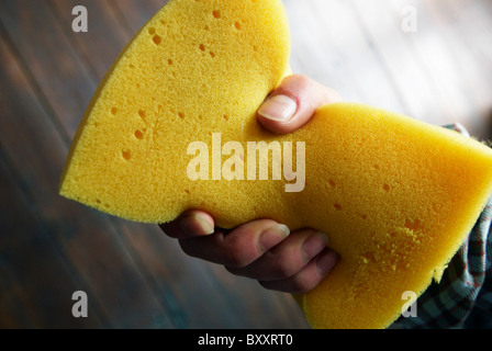 Woman holding sponge Stock Photo