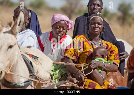 A Group Of Tuareg Women Ride A Donkey Cart To The Bourro Market In 