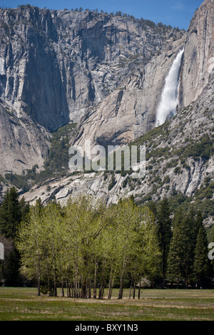 A classic view of Yosemite Falls in Yosemite National Park. Stock Photo