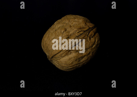A shot of a walnut over black background