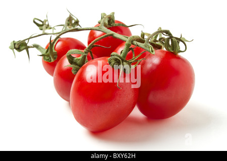 Plum Vine Tomatoes from low perspective isolated on white. Stock Photo