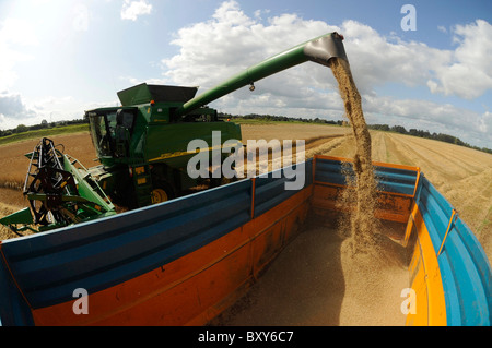 A John Deere combine harvester harvesting barley in a field at Holme Gate Farm near Warwick on Eden Stock Photo