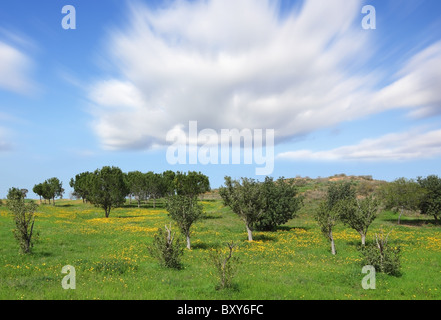 Clouds flying on the sky above rural fields in the south of Israel. Warm February Stock Photo