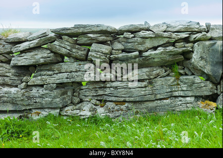 Traditional dry stone wall, stones laid flat, in field in The Burren, County Clare, West of Ireland Stock Photo