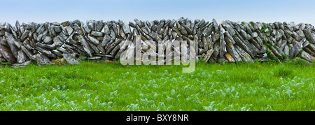 Traditional dry stone wall, vertical sloping stones, in field in The Burren, County Clare, West of Ireland Stock Photo