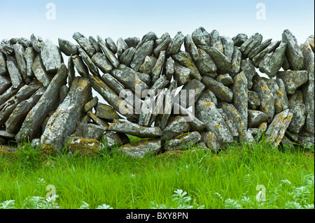 Traditional dry stone wall, vertical sloping stones, in field in The Burren, County Clare, West of Ireland Stock Photo