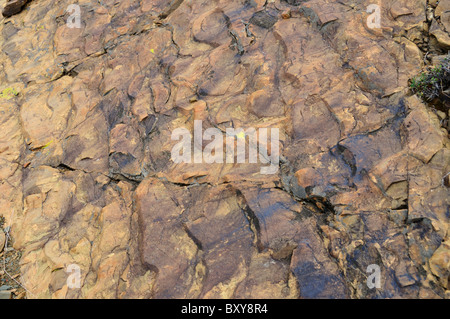 Ripple marks exposed on rock surface. Karoo basin, South Africa. Stock Photo