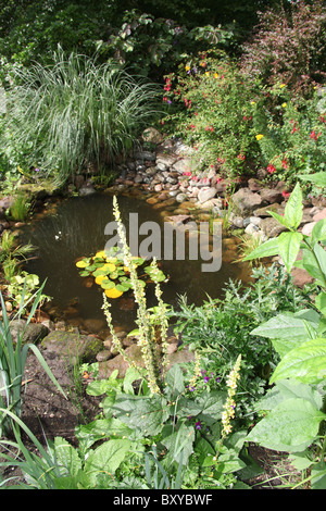 Bluebell Cottage Gardens, England. Summer view of Bluebell Cottage Garden pond, borders and flower beds. Stock Photo