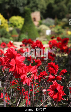 Bridgemere Nursery & Garden World. Summer view of Bridgemere’s show gardens. Stock Photo