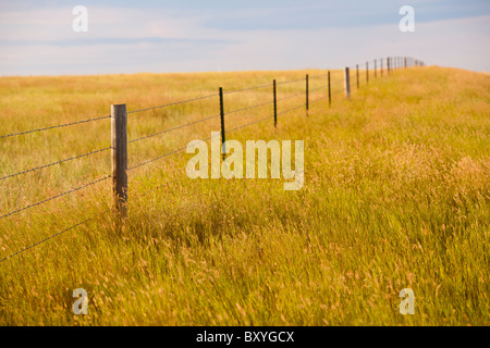 Fence in yellow prairie grass Stock Photo