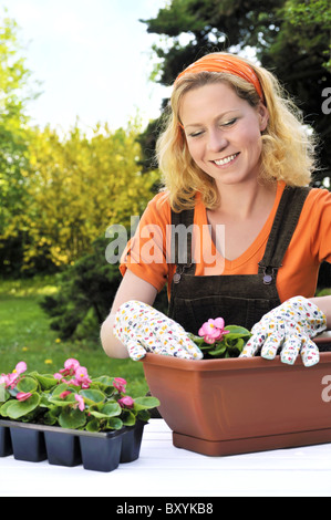 Young woman planting flowers – Begonia Stock Photo